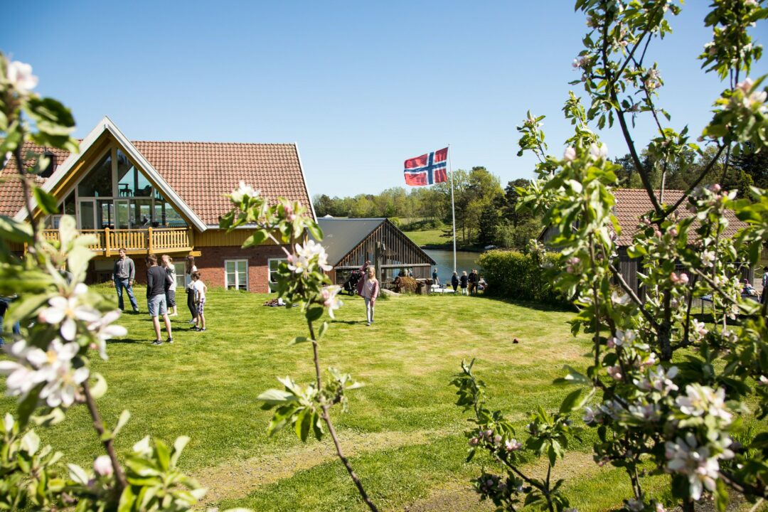 Bilde av uteområdet med flagg som vaier i vinden