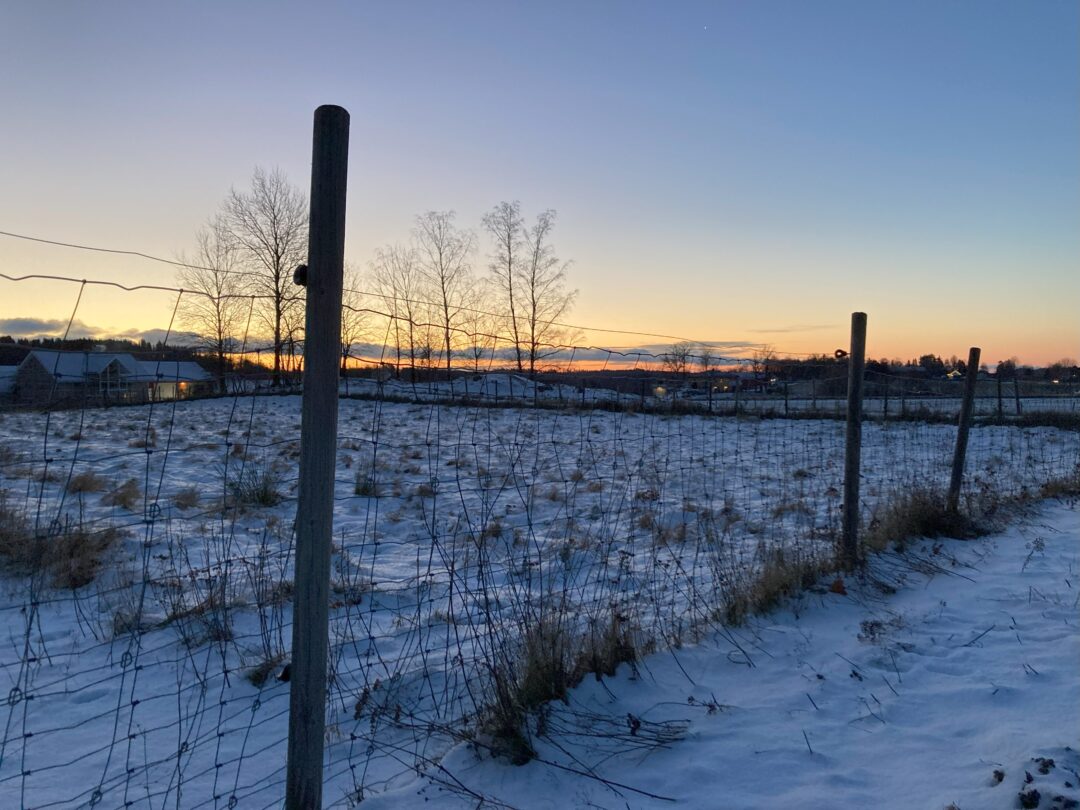 Soloppgang vinter