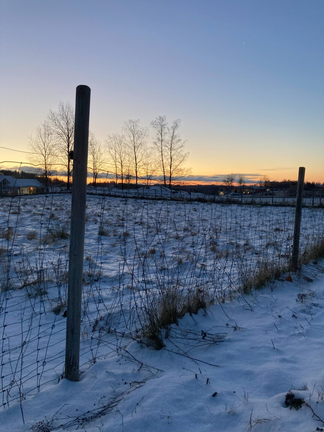 Soloppgang vinter