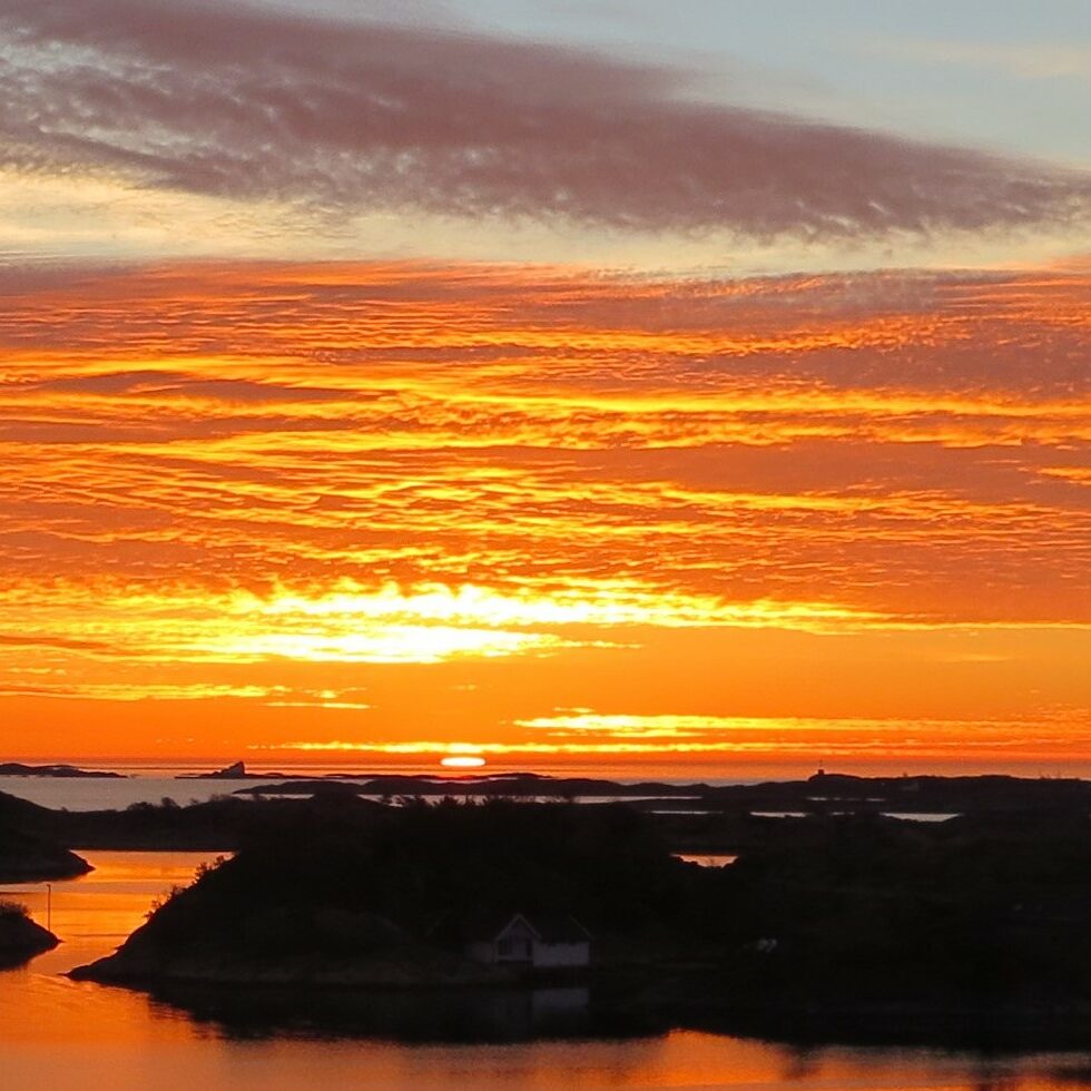 Lenkeknapp med bilde