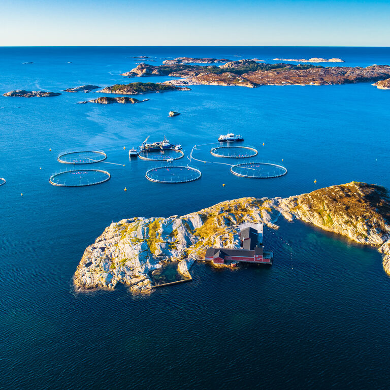 Sotra