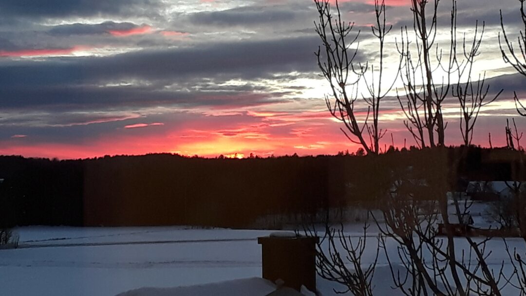 Vinter i Undrumsdal