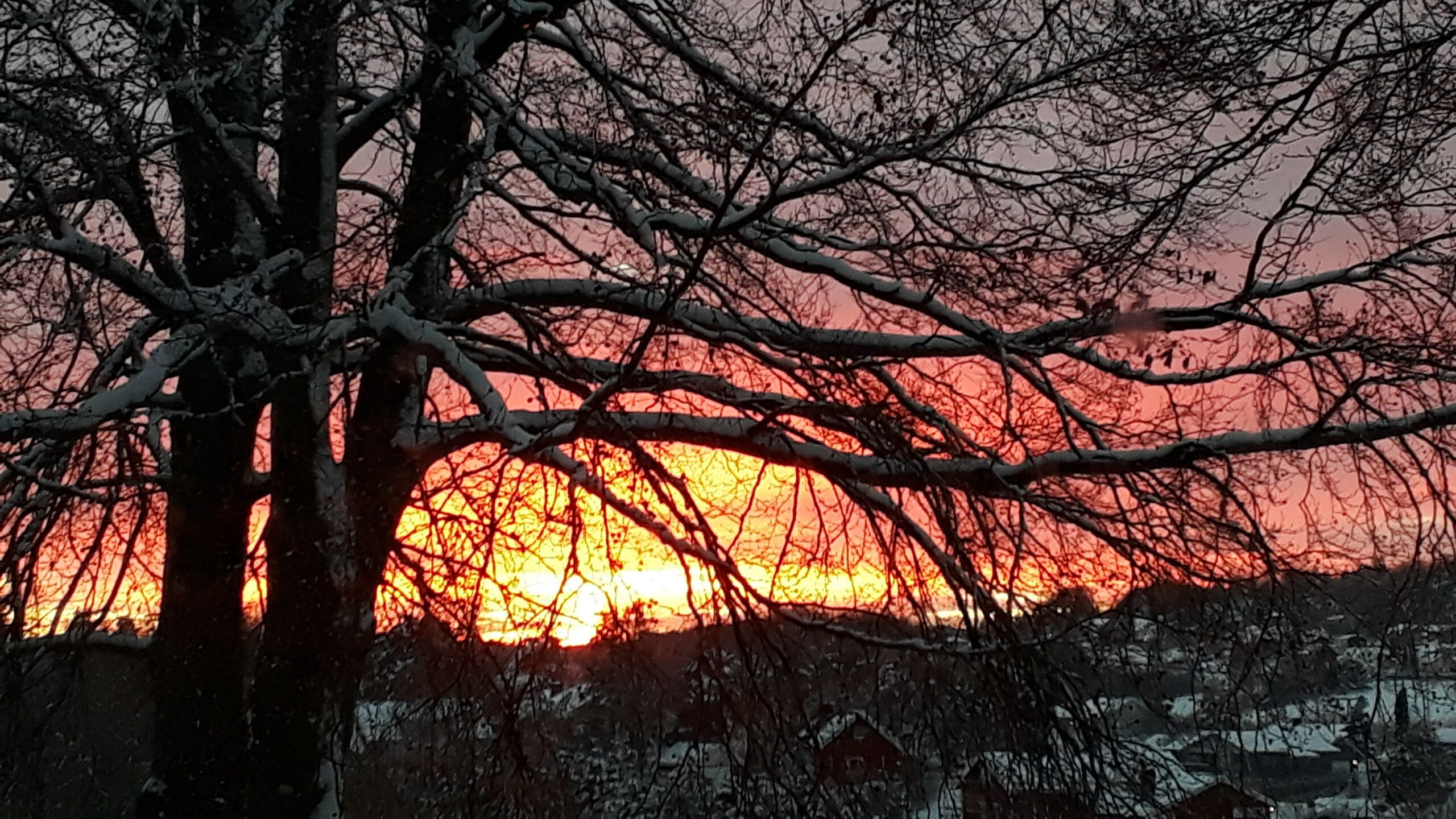 Vinter i Undrumsdal