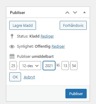 Skjermdump fra WordPress