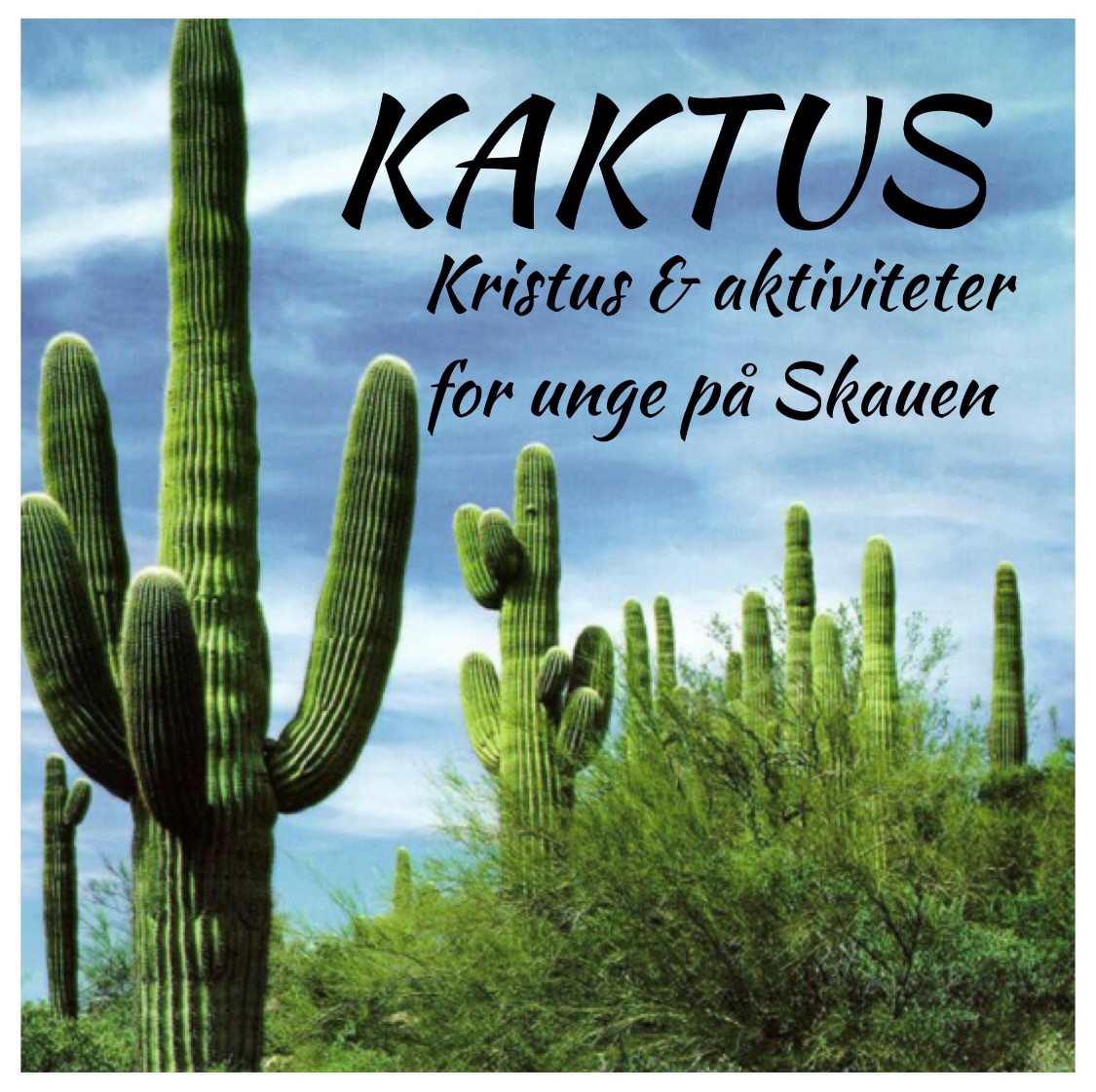 Kaktus