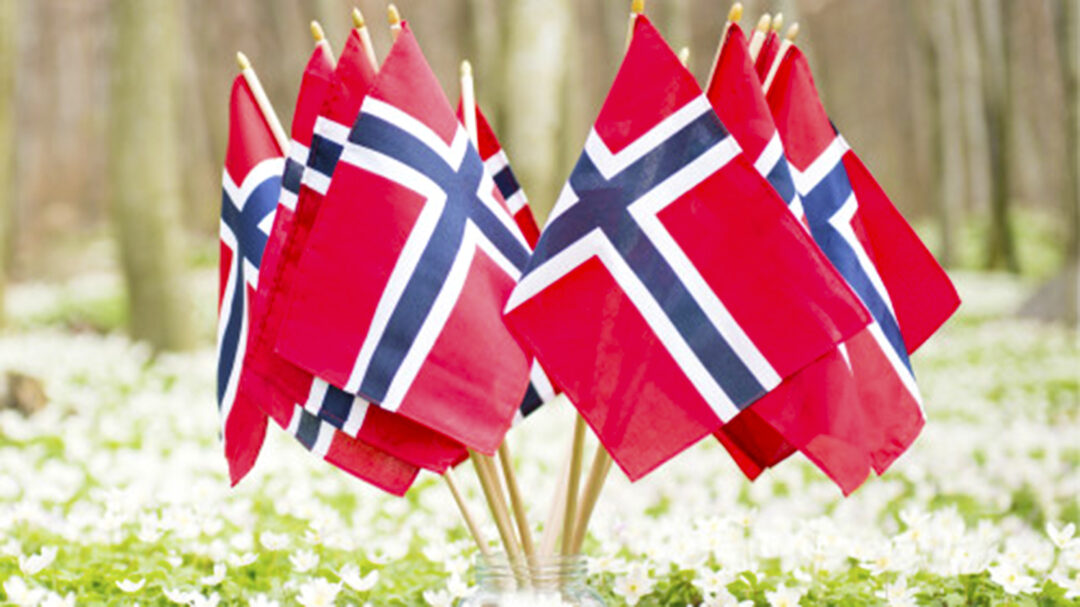 Norske småflagg.
