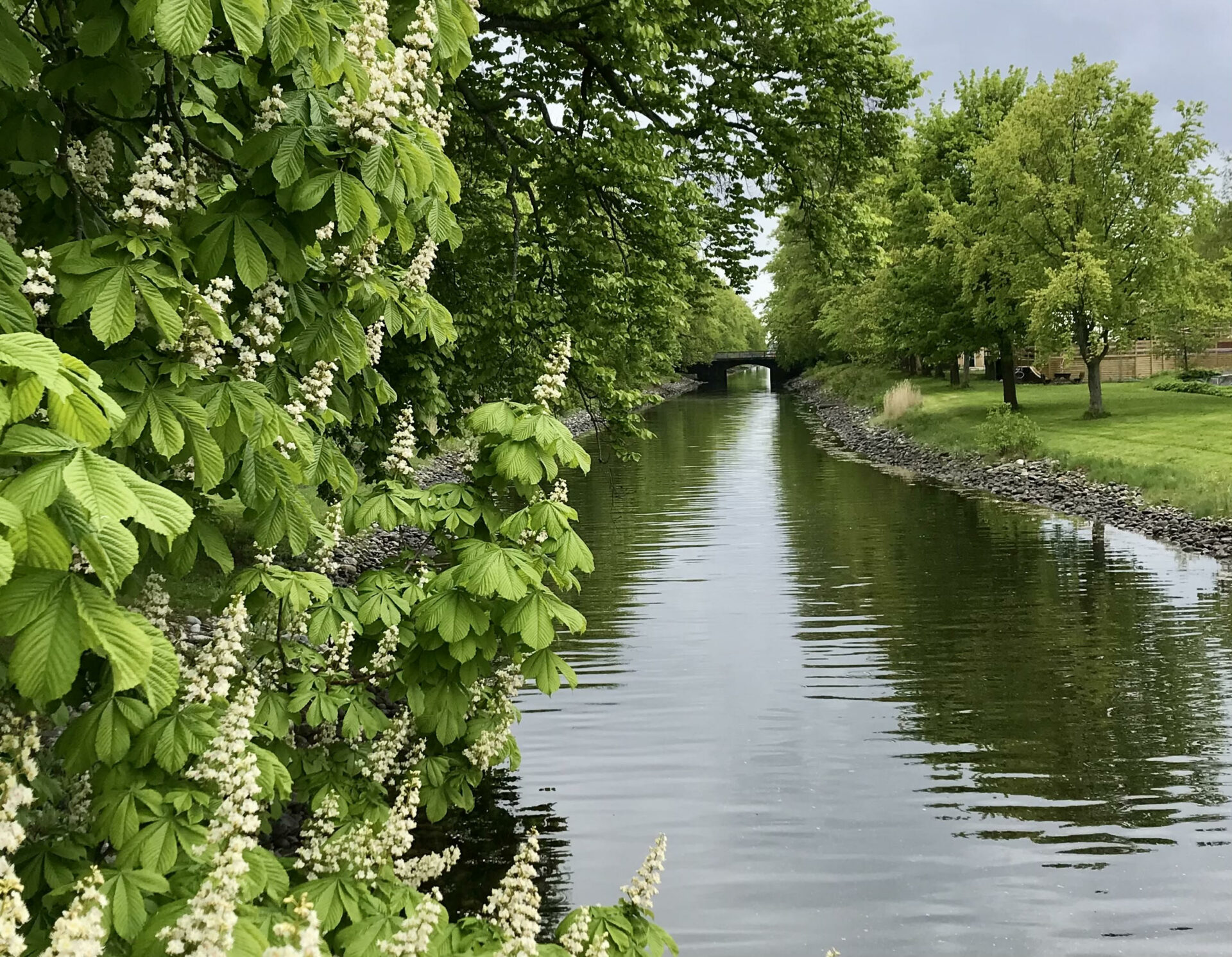 Hortenskanalen_langg