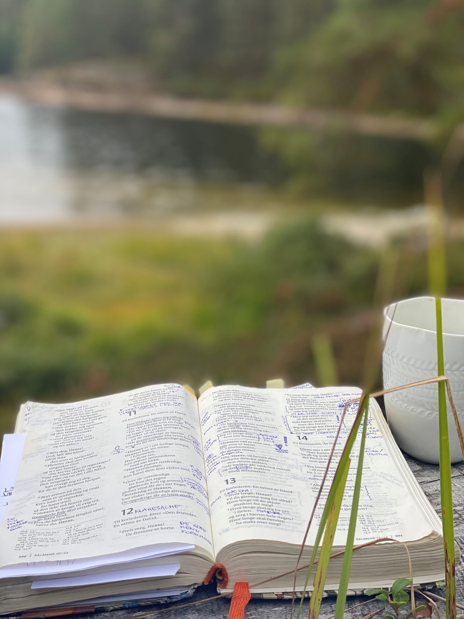 Bibel ill.2