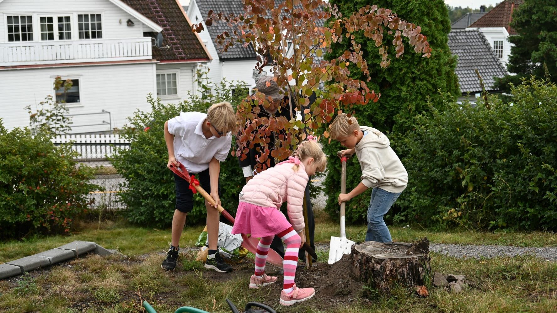 Treplanting-DSC_5515-aspect-ratio-16-9