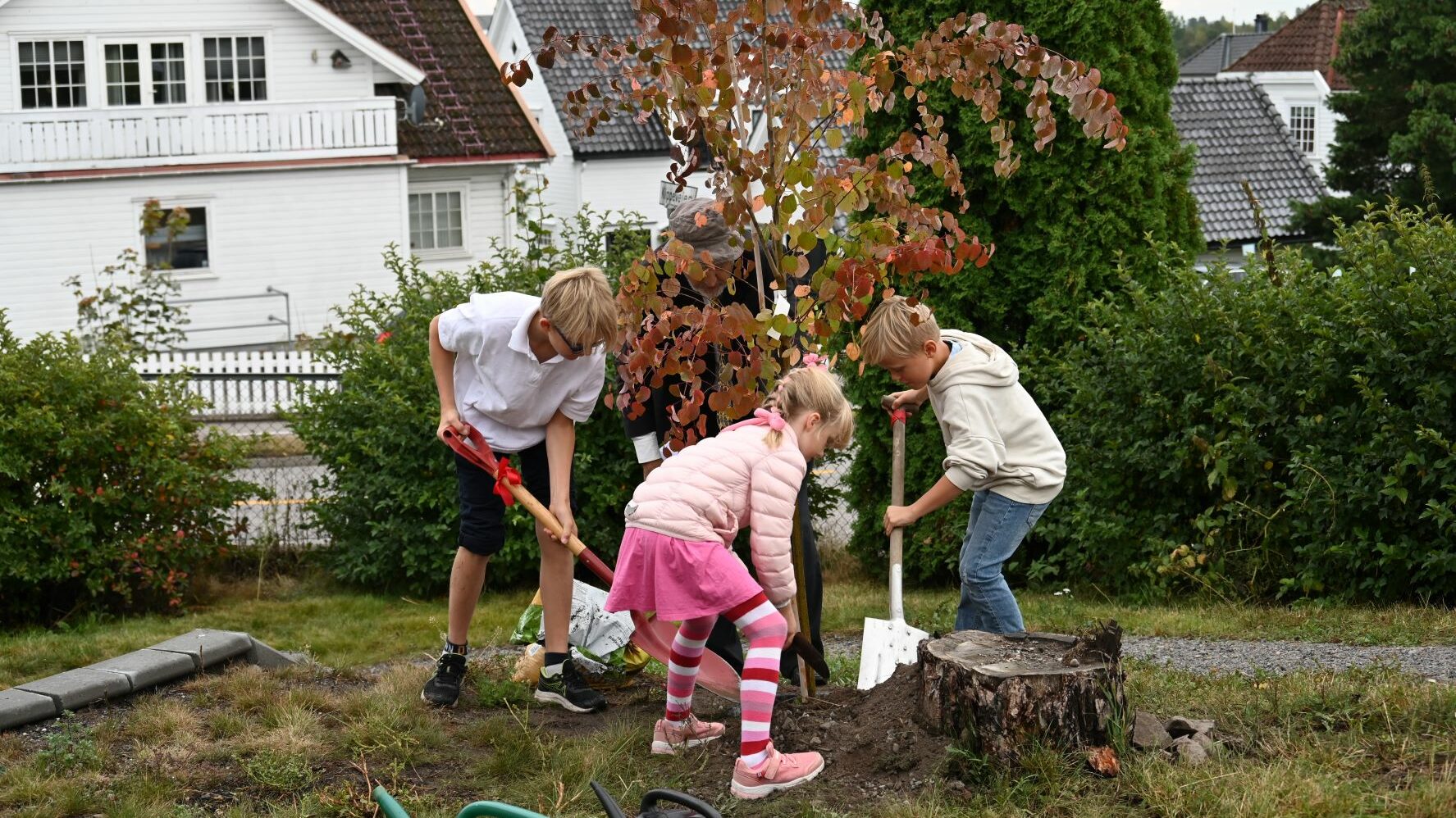 Treplanting-DSC_5515-aspect-ratio-16-9