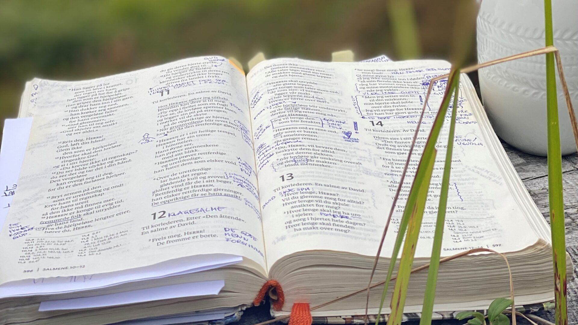 Bibel-ill.2-scaled-aspect-ratio-16-9