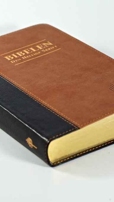 Bibel-1024x683-1-aspect-ratio-9-16