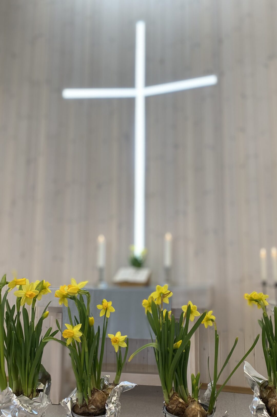 Påskeliljer foran alter