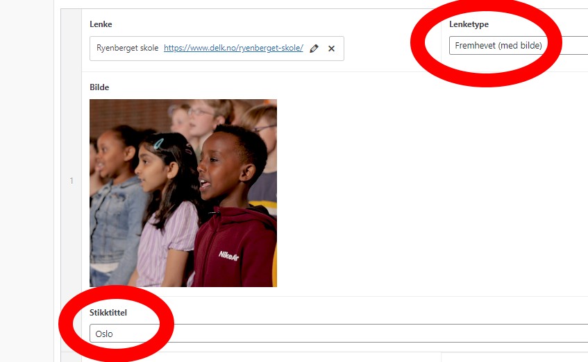 Skjermdump fra Wordpress