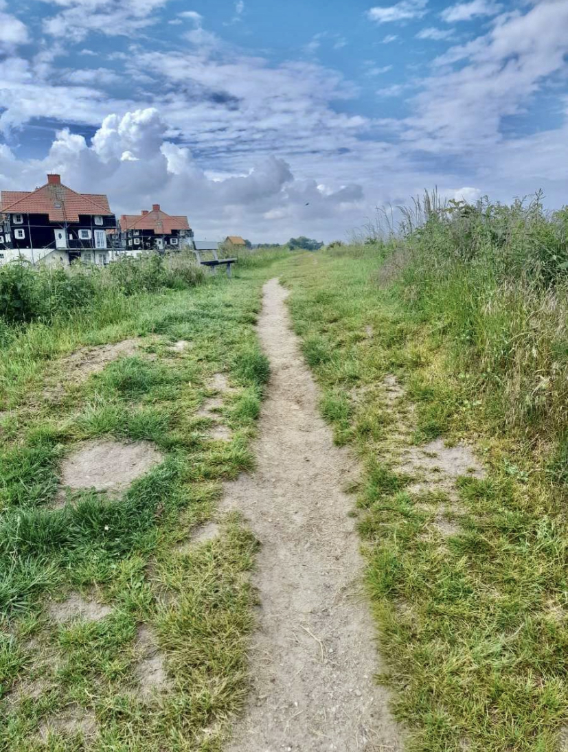 Sti gjennom dansk landskap.