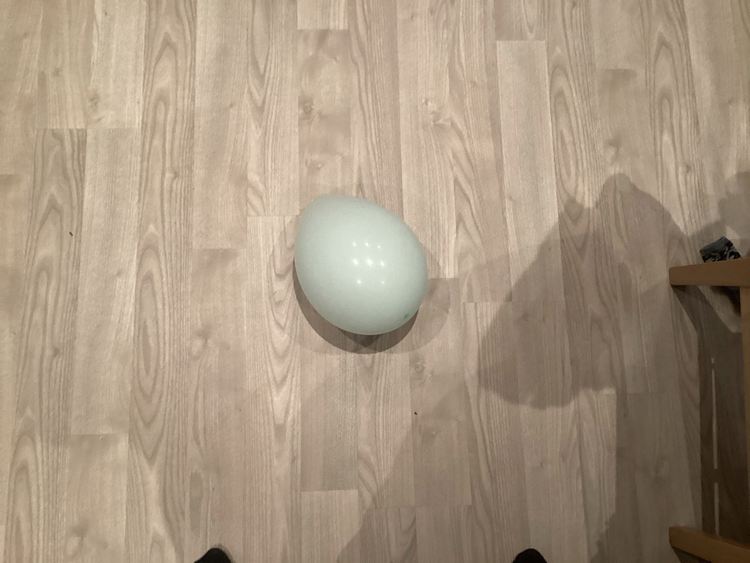 Grønn ballong på tregulv. Skyggeeffekt på siden gir assosiasjoner til et hestehode.