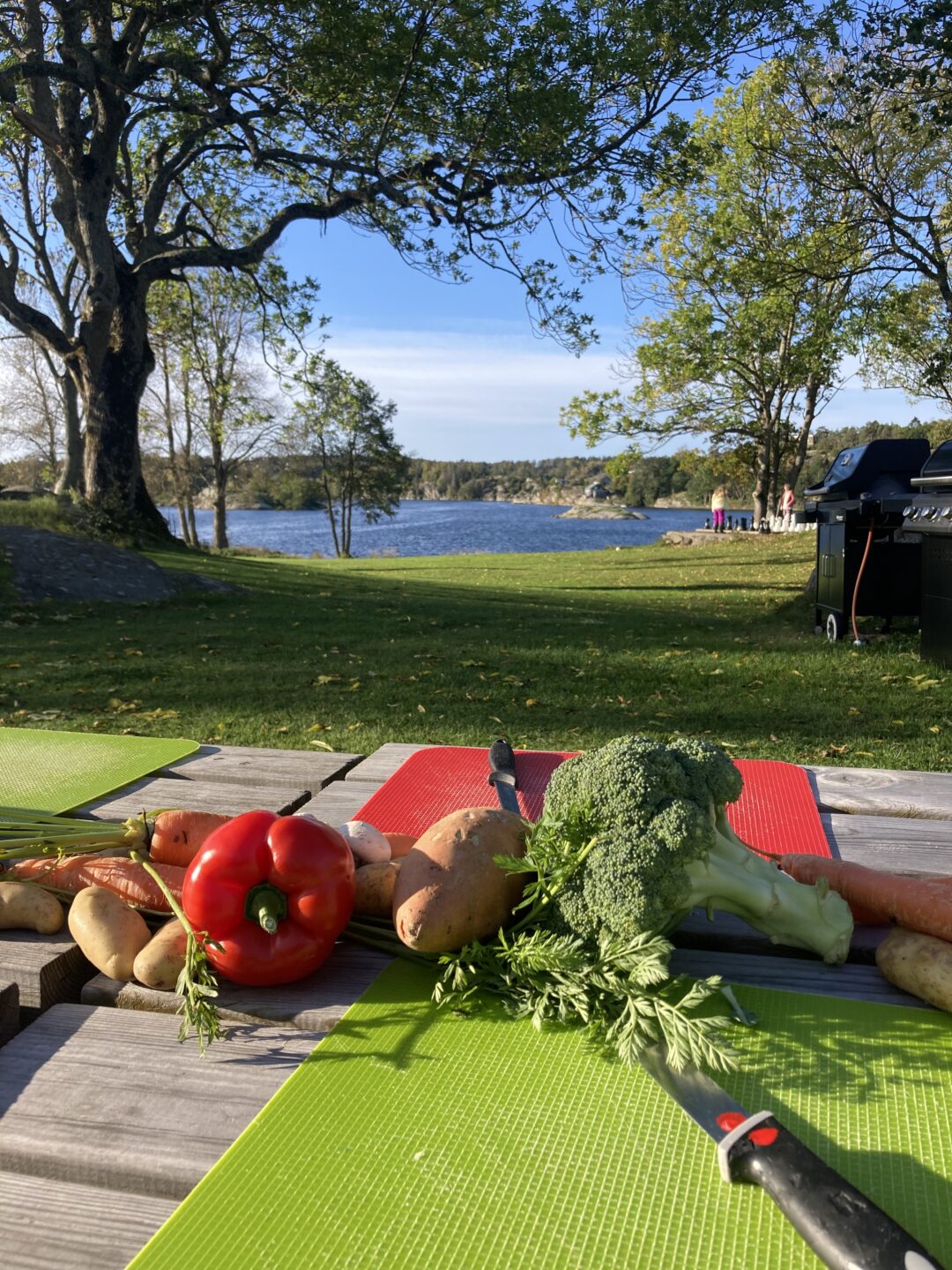 Bilde av grønnsaker på et utebord ved Strand leirsted, med utsikt mot sjøen. 6. klasse fra Moe på temadag.