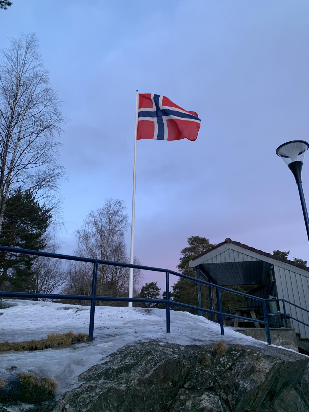Ryenberget skole flagg