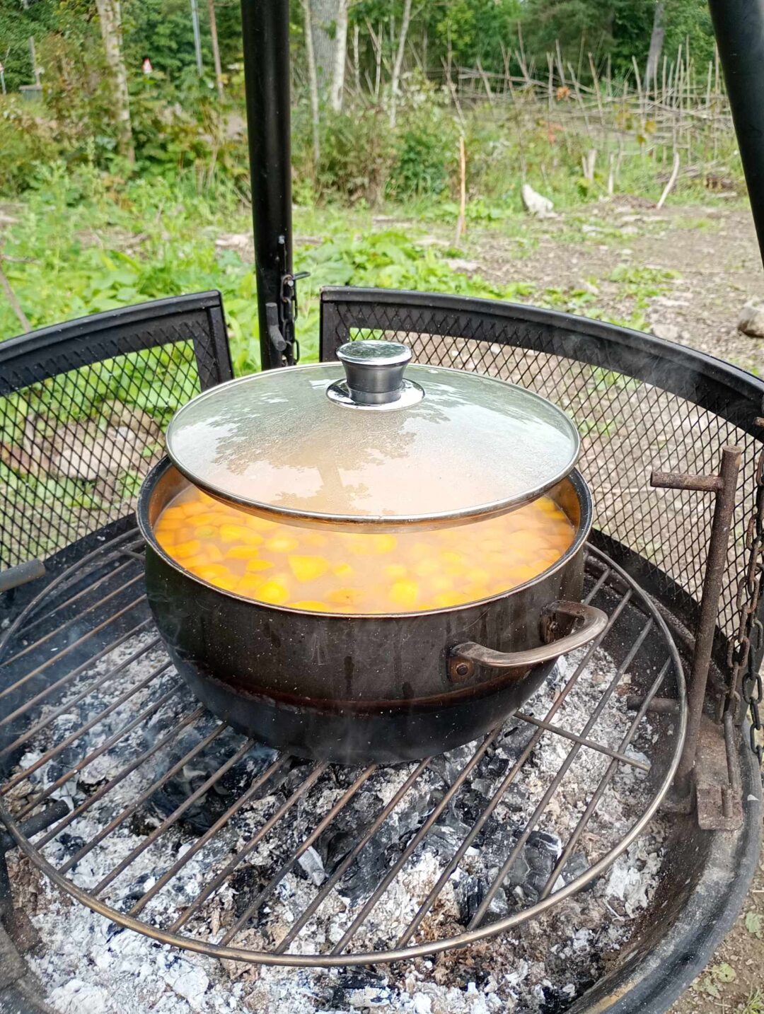 Bilde av grønnsakssuppe i gryte på bålpanne.