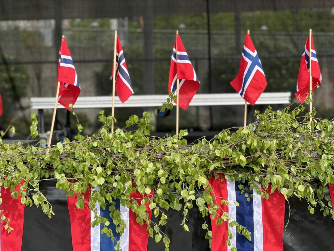 Flagg og bjørkeris