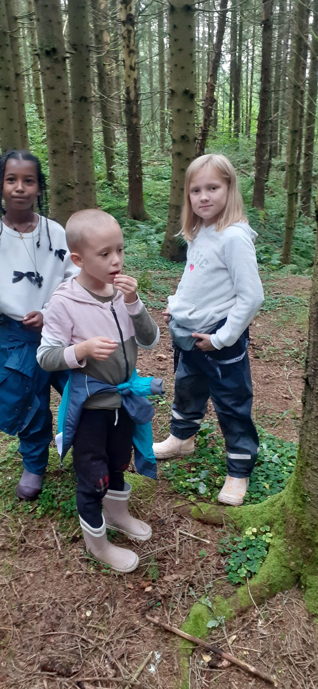 Bilde av to jenter og en gutt i skogen.