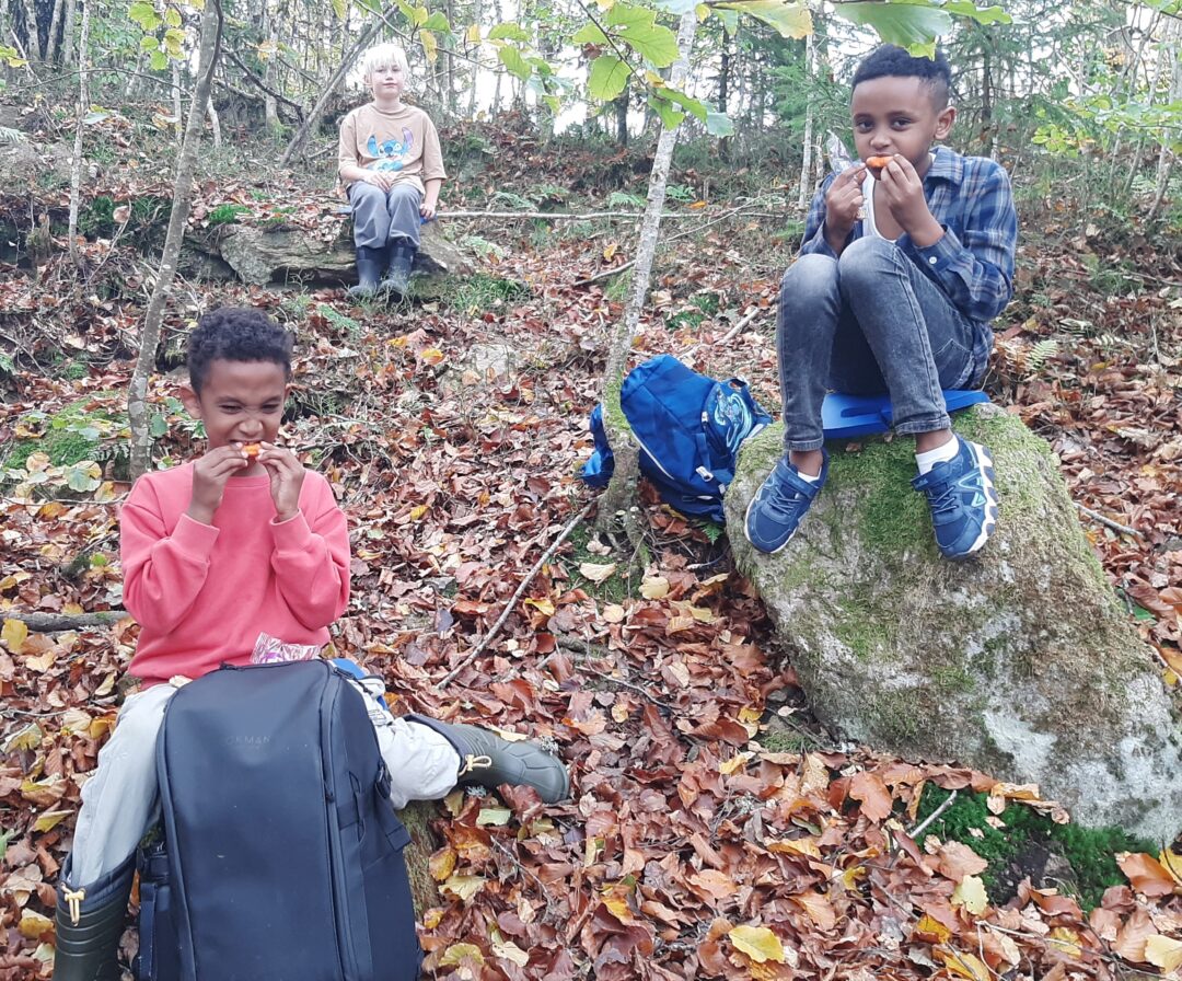 Bilde av tre elever som sitter og spiser i skogen.