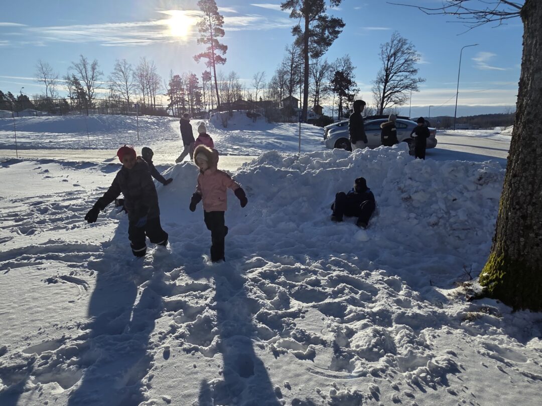 Bilde av barn som leker i sol og snø.