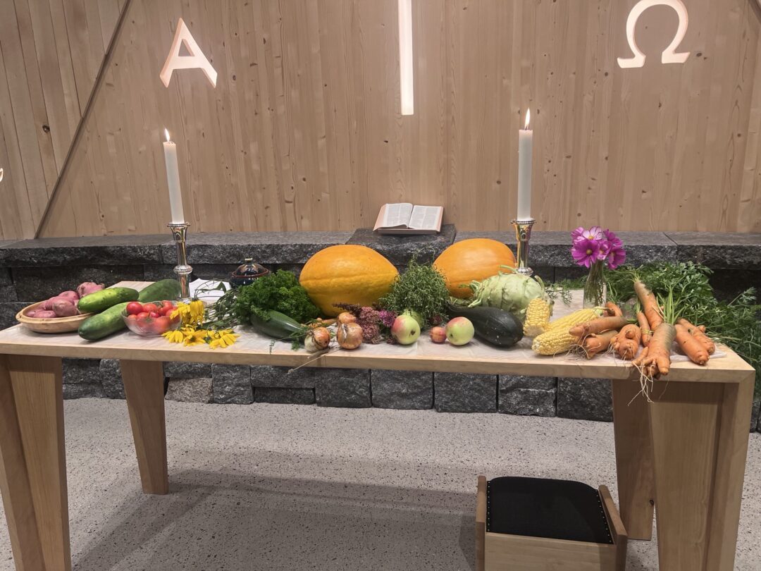 Bilde av grønnsaker på alterbordet i Bjerkely kirke, på høsttakkefest.